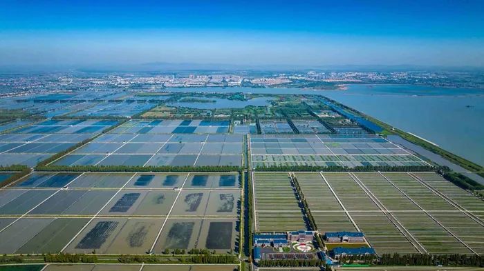 航拍高淳固城湖螃蟹核心區(qū)。高淳區(qū)融媒體中心供圖